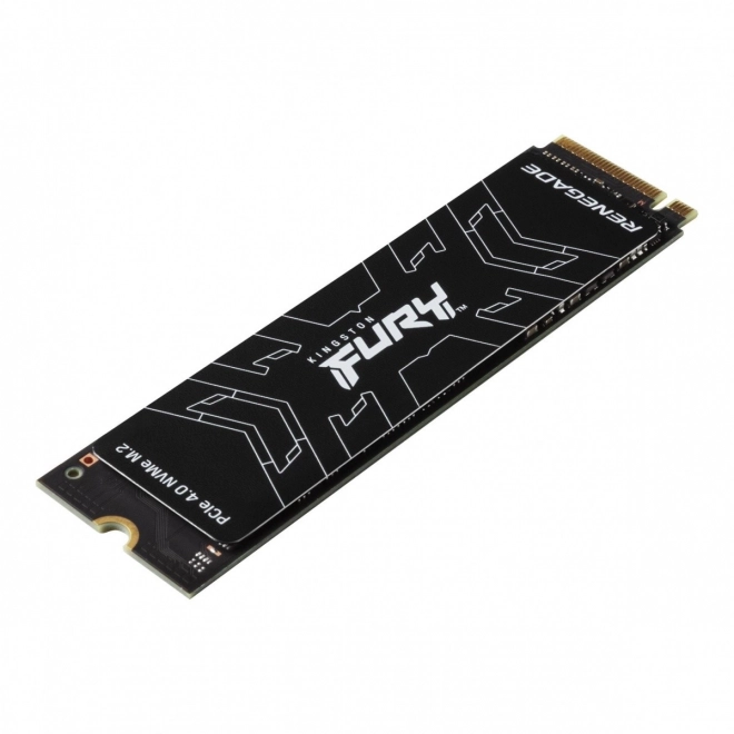 SSD FURY Renegade 1000G PCIe 4.0 NVMe M.2