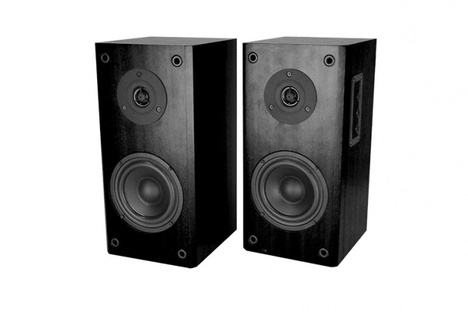 AUDIENCE HQ MT3143K Dřevěná skříň/Dvoucestné reproduktory/Regulace hlasitosti, basů, výšek/RMS 40W(2x20W)