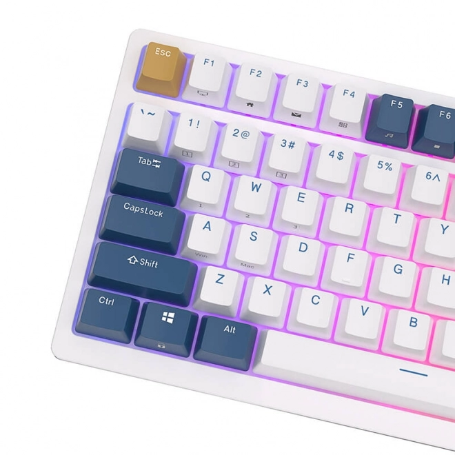 Mechanická klávesnice Royal Kludge RK98 RGB, červené spínače (modrá)