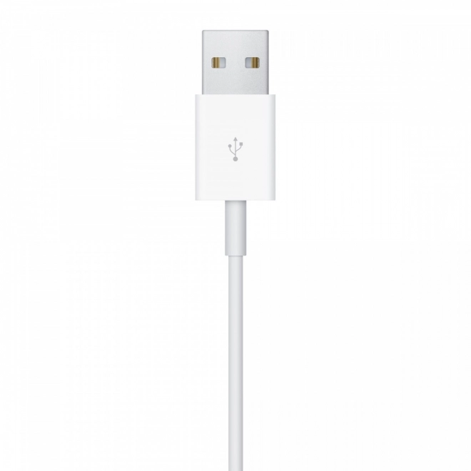 Magnetický nabíjecí kabel pro Apple Watch 1m