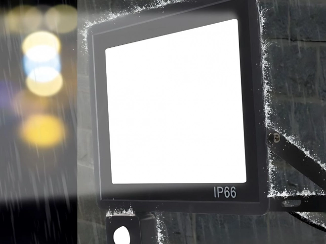 Venkovní LED Reflektor 30W s Pohybovým a Soumrakovým Senzorem IP66