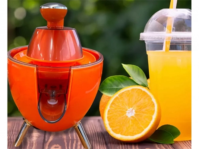 Elektrický odšťavňovač na citrusy