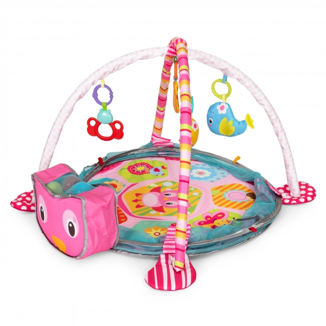 Velká vzdělávací podložka 3v1 ohrádka 30 míčů 0+ ECOTOYS