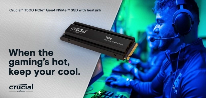 T500 1TB M.2 NVMe 2280 PCIe40 7300/6800 Chladič