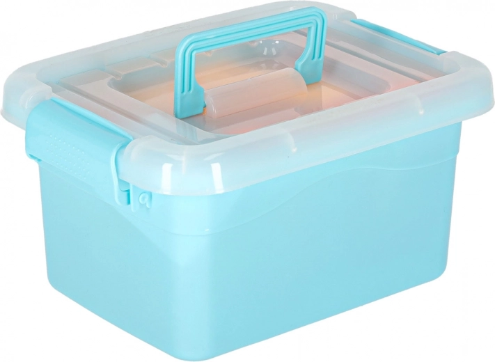 Praktický úložný box na cesty