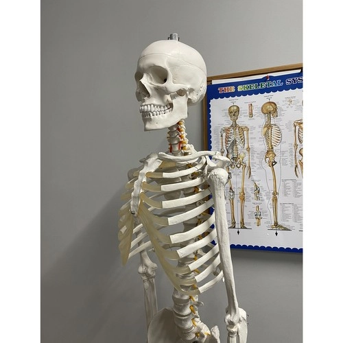 Učební pomůcka s plakátem