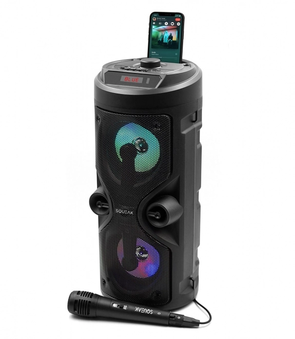 Bluetooth reproduktor Harmony s karaoke funkcí