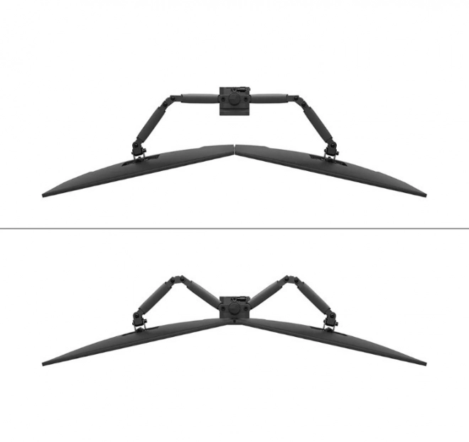 Rameno pro monitor Neomounts Nero