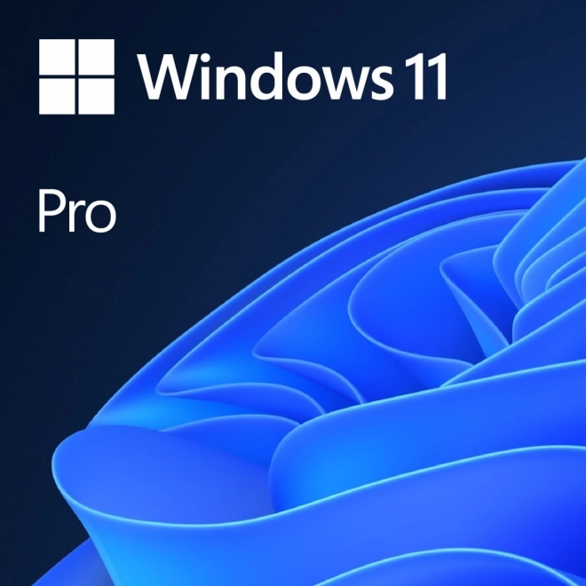 OEM Windows 11 Pro DVD