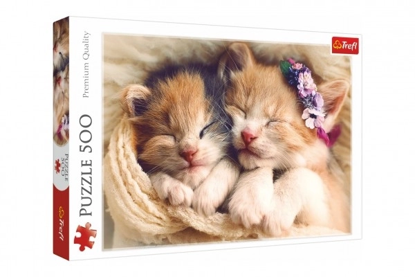 Puzzle 500 dílků spící koťata Trefl