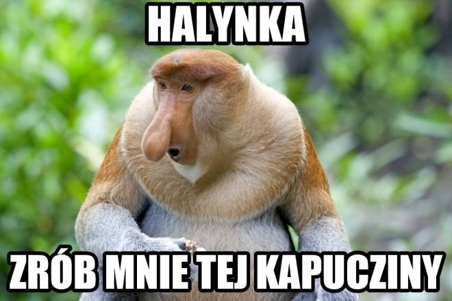 Vtipná maska s dlouhým nosem opice