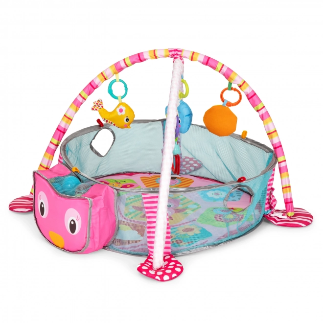 Velká vzdělávací podložka 3v1 ohrádka 30 míčů 0+ ECOTOYS
