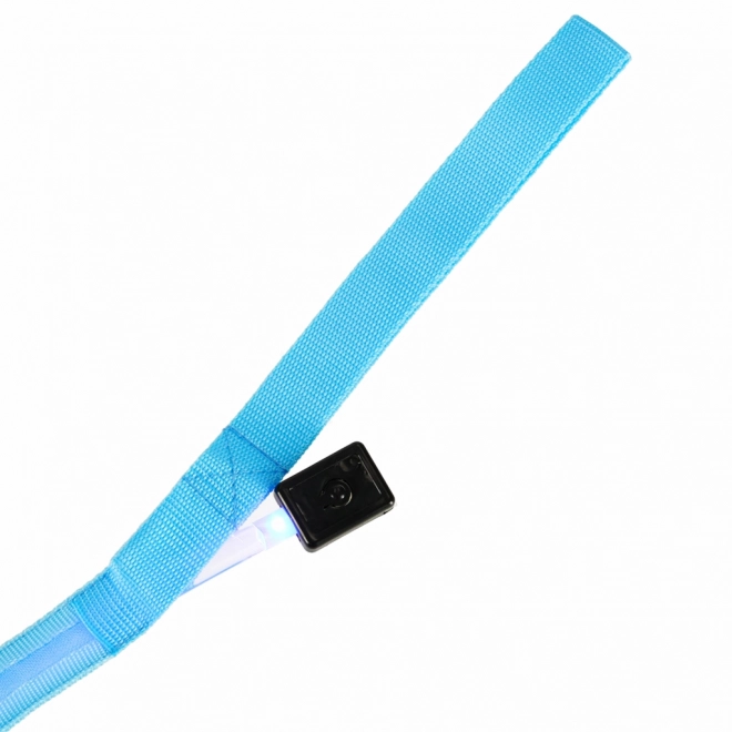 Svítící LED obojek pro psy
