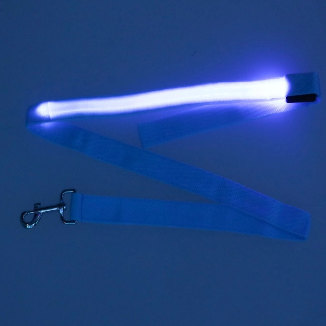 Svítící LED obojek pro psy