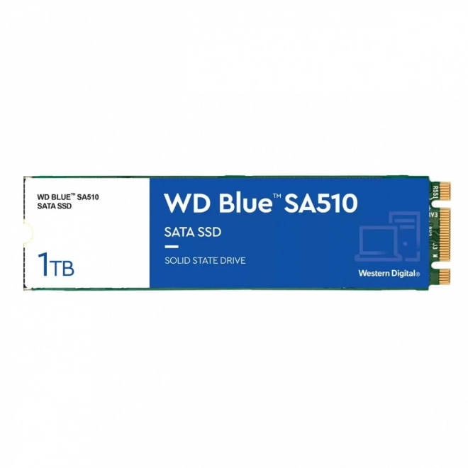 SSD Blue 1TB SA510 M.2 2280 WDS100T3B0B
