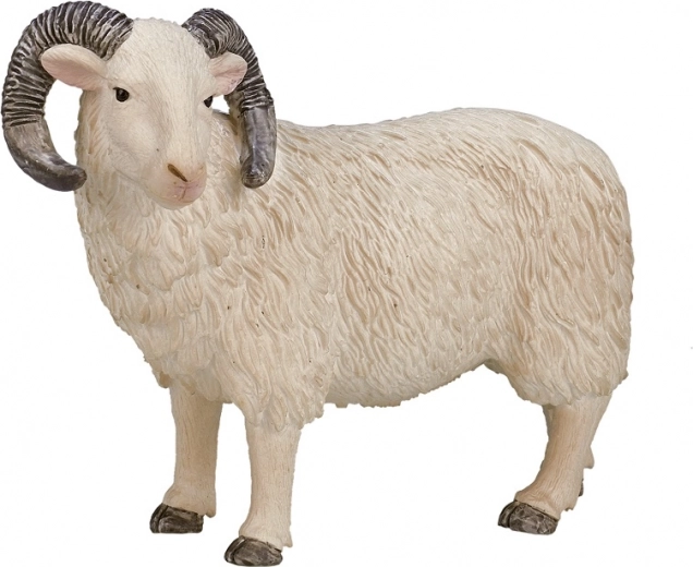 Realistický model pro hru i vzdělávání