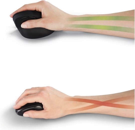 Vertikální ergonomie pro zdravější práci