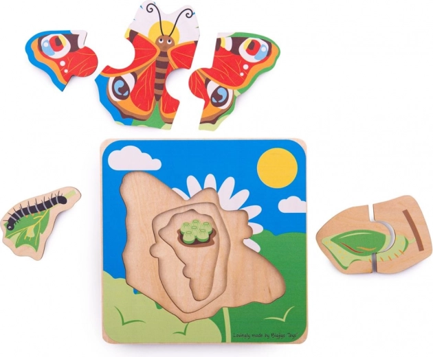 Názorné učení životního cyklu