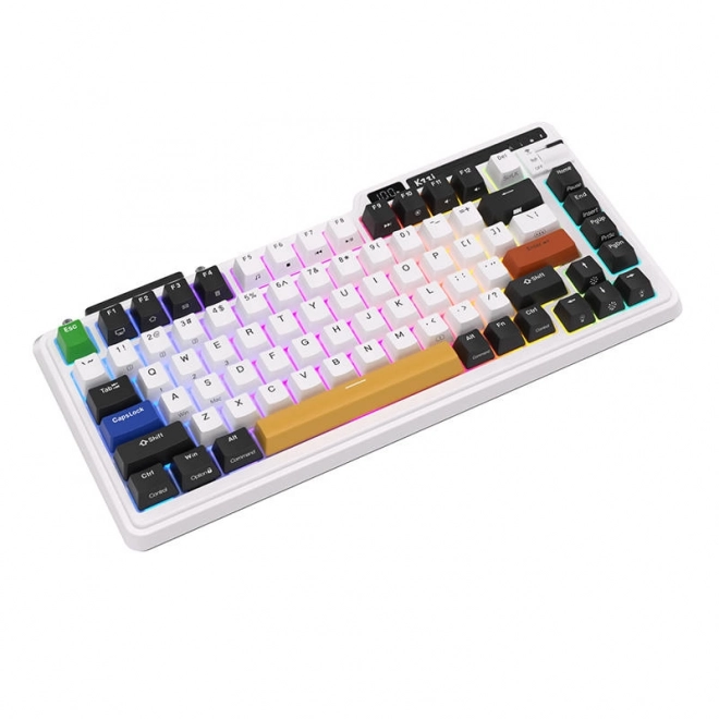 Bezdrátová mechanická klávesnice Royal Kludge KZZI K75 pro RGB, Eternity Switch (černá a bílá)