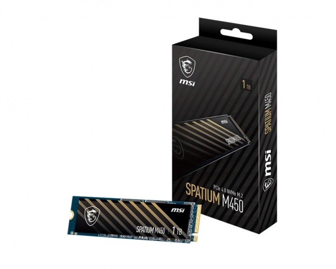 SPATIUM M450 1TB M.2 PCIe4 3600/3000MB/s SSD disk