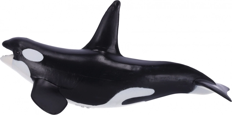 Edukační i sběratelská