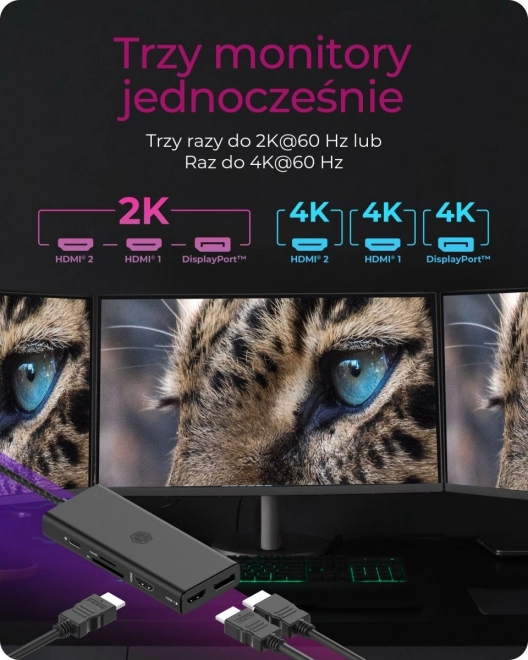 Stolní dokovací stanice 9v1 HDMI, DP, CR, Typ-C
