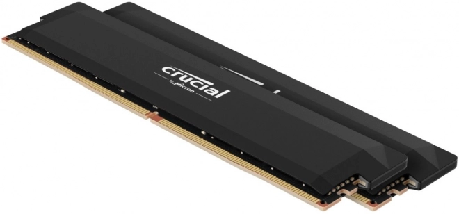 Paměť DDR5 Crucial Pro Overclocking 32/6000(2*16GB) CL36