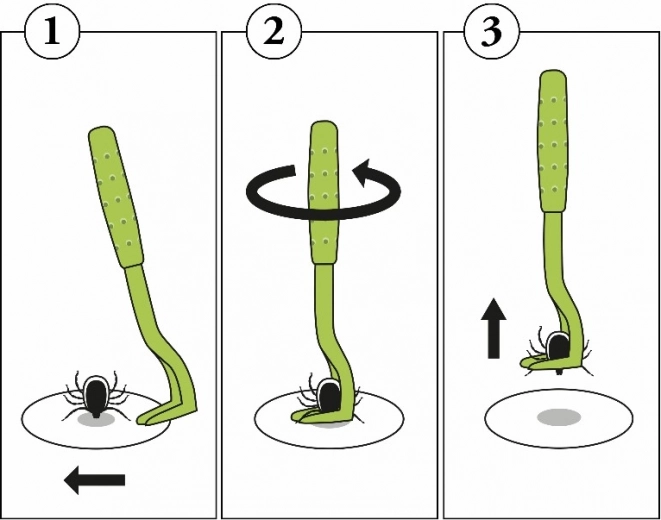 Jednoduchý postup krok za krokem