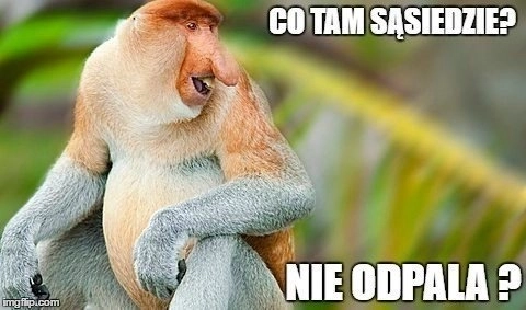 Vtipná maska s dlouhým nosem opice