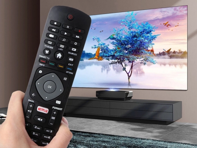 Univerzální dálkový ovladač pro smart tv 4k uhd