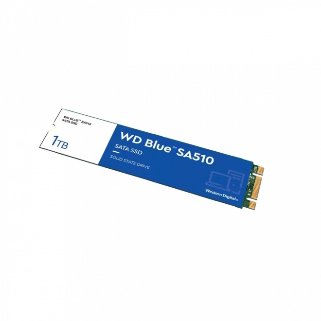 SSD Blue 1TB SA510 M.2 2280 WDS100T3B0B