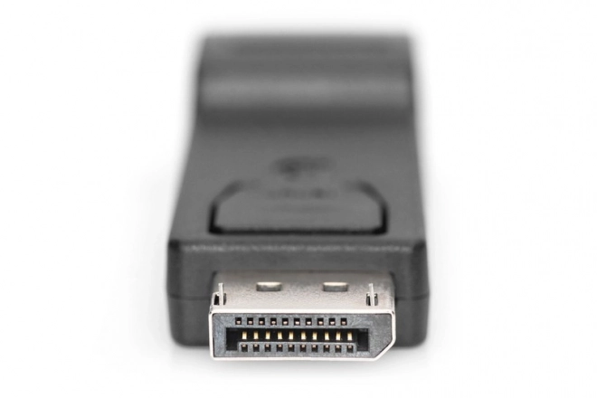 Displayport 1080p 60Hz FHD Typ DP/HDMI A M/Z Černý adaptér