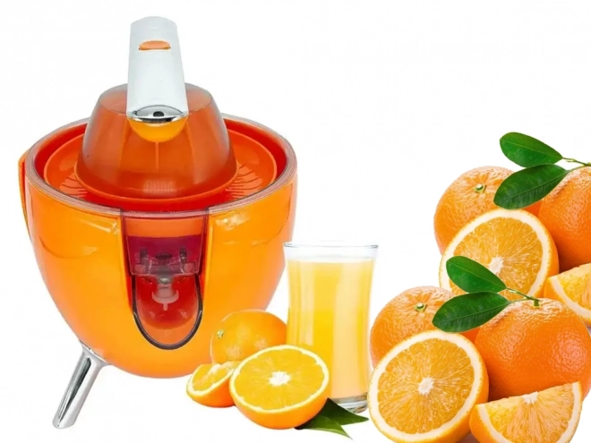 Elektrický odšťavňovač na citrusy