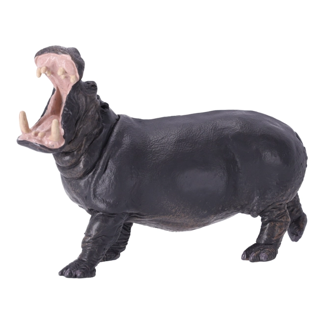 Vzdělávání i sběratelství