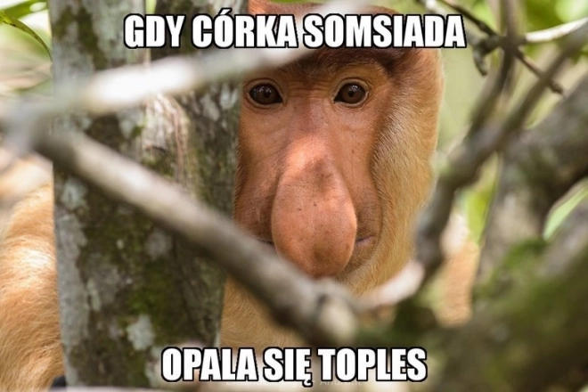 Vtipná maska s dlouhým nosem opice