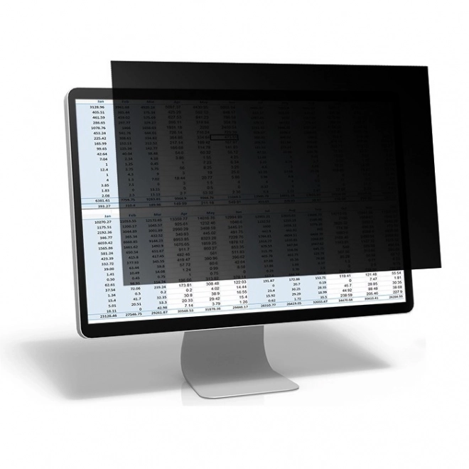 Filtr na soukromí pro monitor 23.8 palců