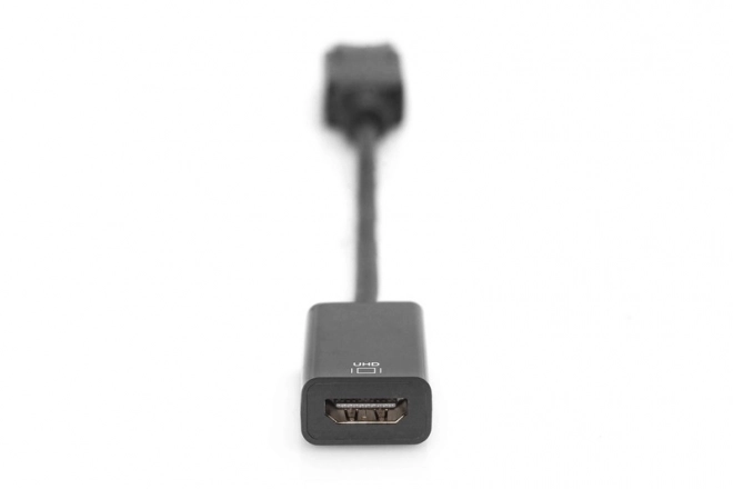 Adaptační kabel DisplayPort s klipem 1080p 60Hz FHD Typ DP/HDMI A M/Z 0,2 m černý