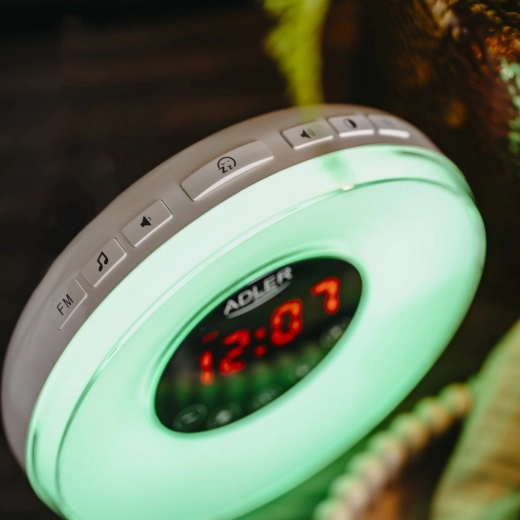 Zvuky přírody a FM rádio