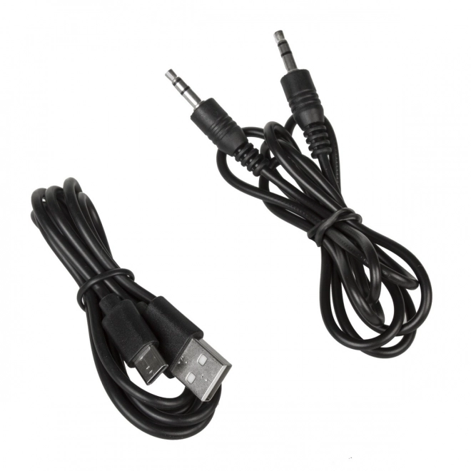 Bluetooth reproduktor s rádiem a USB Audiocore