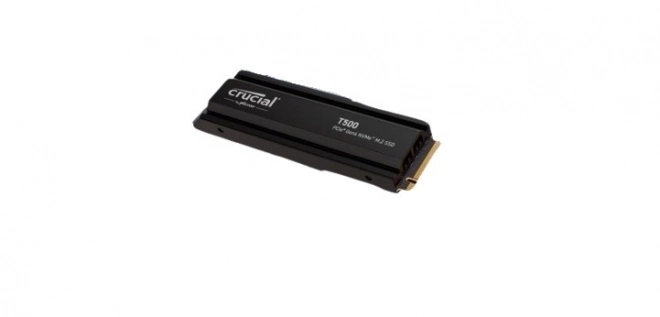 T500 1TB M.2 NVMe 2280 PCIe40 7300/6800 Chladič