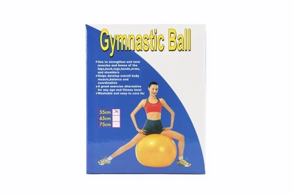 Gymnastický míč - 55 cm