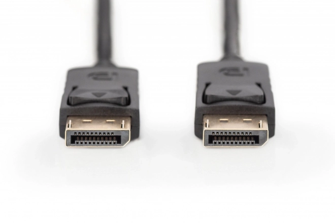 Propojovací kabel DisplayPort s 1080p 60Hz FHD zacvakávací typ DP/DP M/M 10m černý
