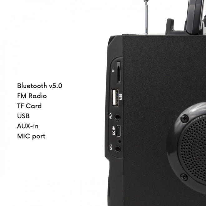 Bluetooth reproduktor s rádiem a USB Audiocore