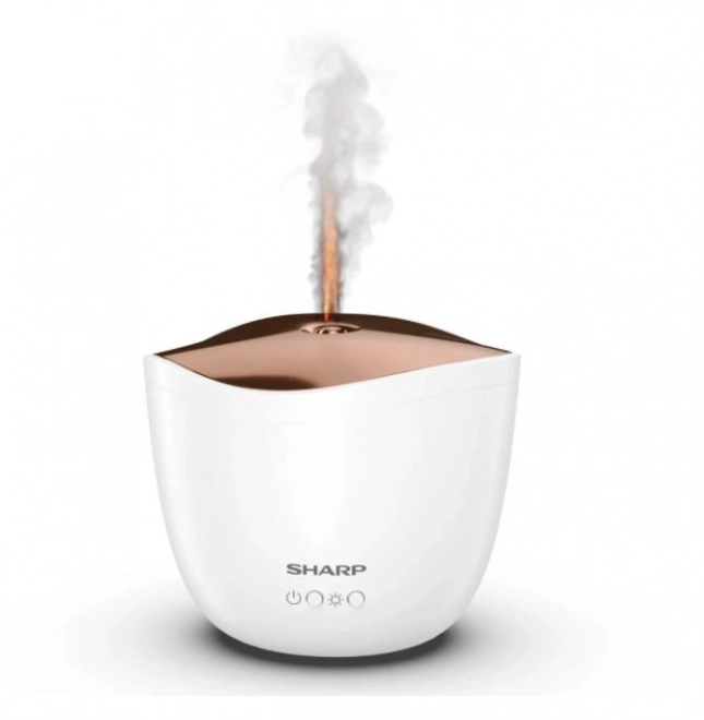 Ultrazvukový aroma difuzér Rose Gold