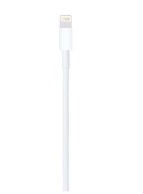 Kabel z konektoru Lightning do konektoru USB (1 m)