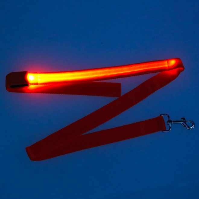 Oranžové LED svítící vodítko pro psy