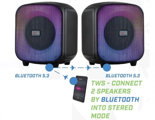 Bluetooth reproduktor s FM a USB PowerCUBE 500