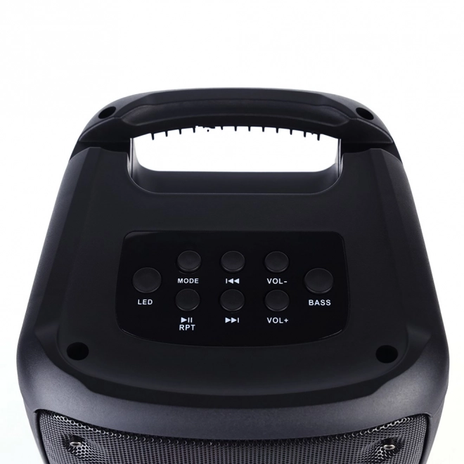 FUNBOX BT Speaker MT3181 Bluetooth 5.0/TWS/MP3/MicroSD/USB/AUX/Equalizer/Jack 6.3/RGB/USB-C/ RMS 40W/PMPO 1000W