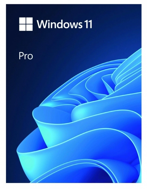 Windows Pro 11 64bit USB Flash Drive