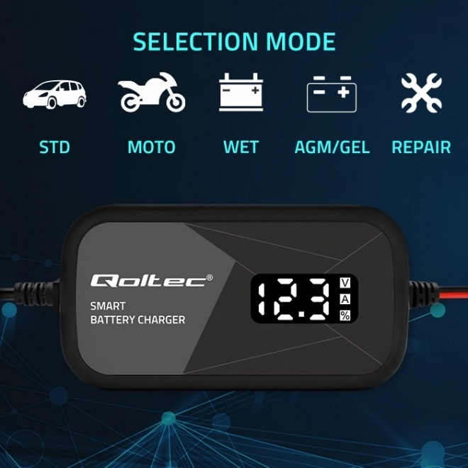 Inteligentní mikroprocesorová nabíječka 12V 2A